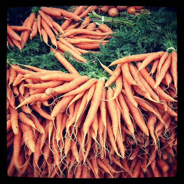 carrots organic carrots