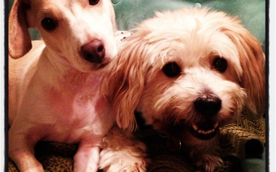 More Hugs And Cuddles Can Be Incredibly Life-Changing!