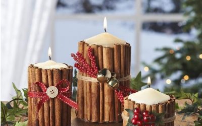 Cinnamon Money Magnetic Rituals!
