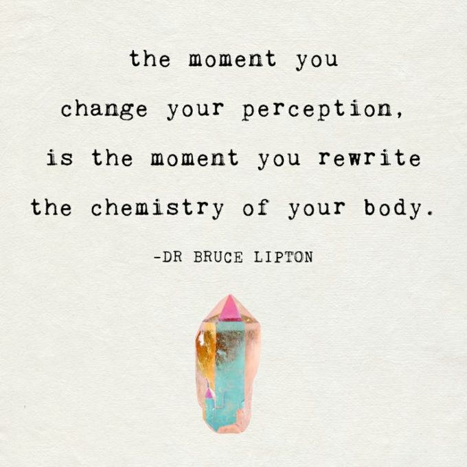 bruce lipton quotes