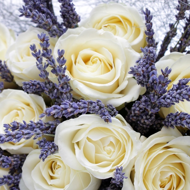 roses and lavender