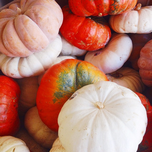 white pumpkins