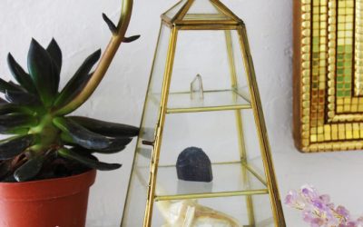 Wealth-Building Feng Shui Essentials To Get Your Fortune Growing Today!