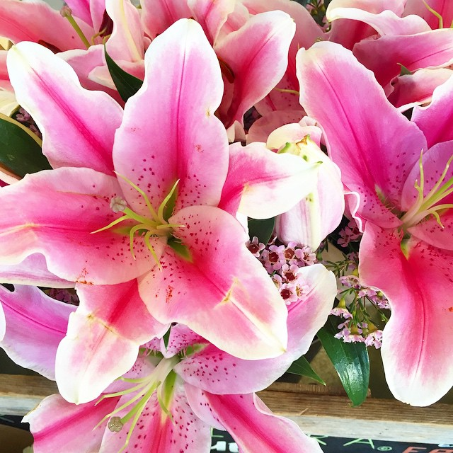 flowers