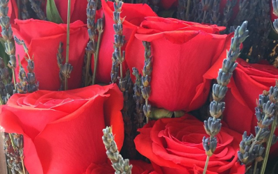 Gorgeous Prosperity Smudge Sticks To Amplify Your Creative Genius!