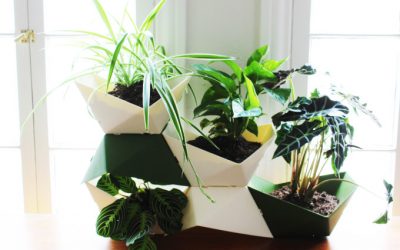 Housecleaning To Create Awesome Karma!