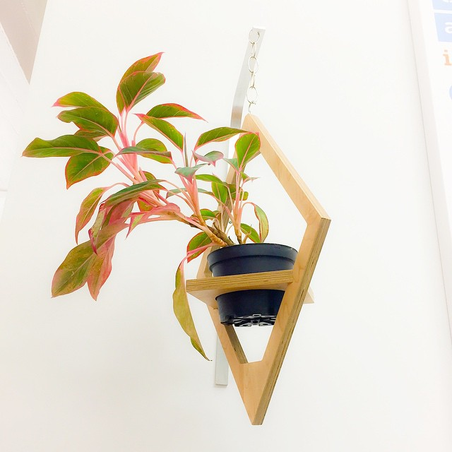 Feng Shui To Help You Find Solutions To Big Problems!