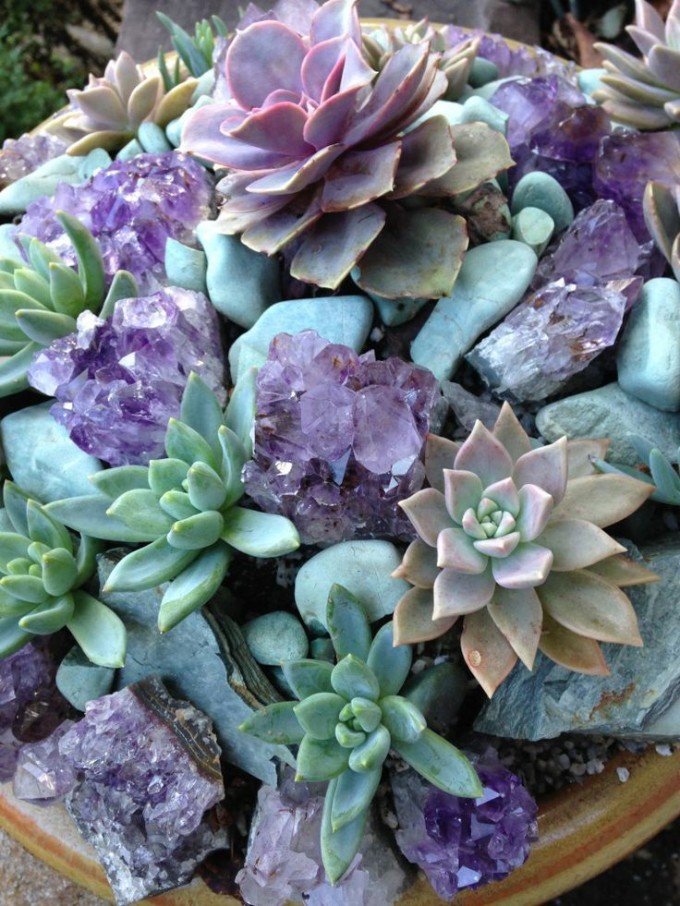 4b1cb6b7077848210106968cf0db7829 crystals plants