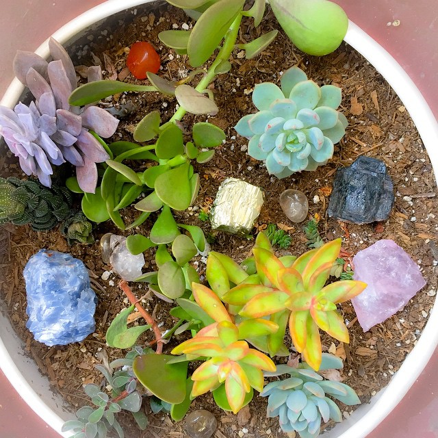 plants and crystals