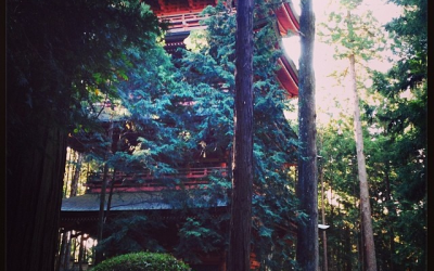 7 Simple Rituals To Relax More Profoundly Every Day