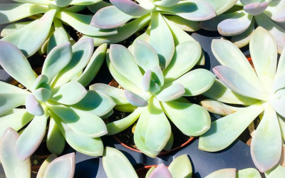 Here’s How Disorganization & Clutter Can Turn Life Upside Down (& How To Start Fixing It!)