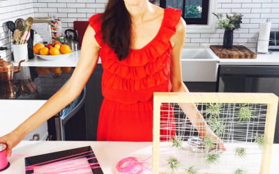 Make Your Own Gorgeous Airplant Frame