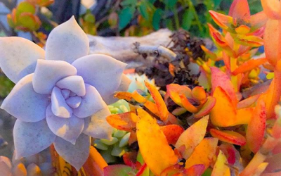 7 Feng Shui Ideas To Open Up To Infinite Possibility!