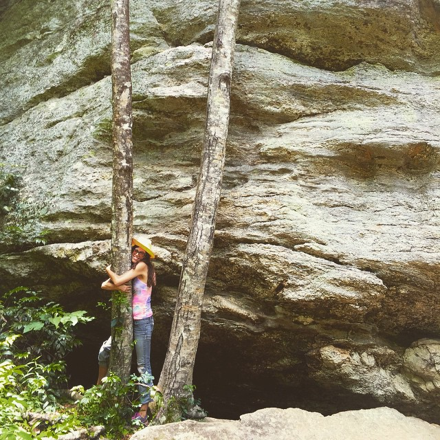 dana claudat feng shui in asheville