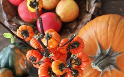 Feng Shui To Welcome A Fabulous Fall