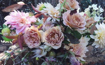 My Hugest Gratitude & The Ultimate Feng Shui For A Stunning 2016!