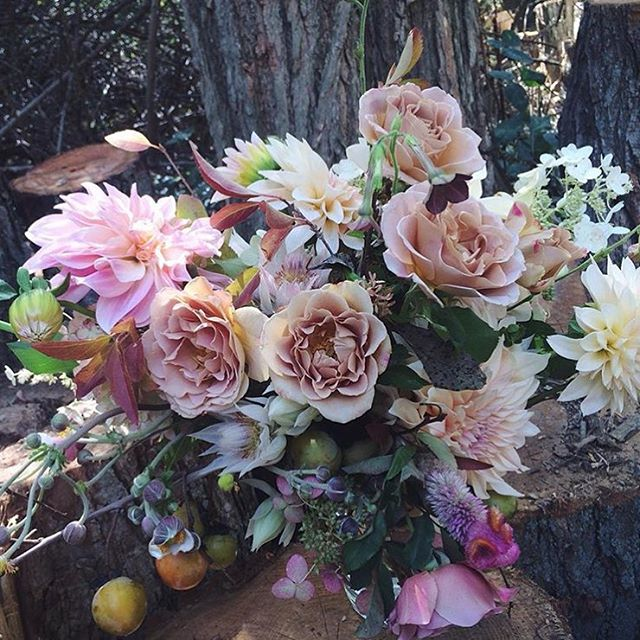saipua flowers