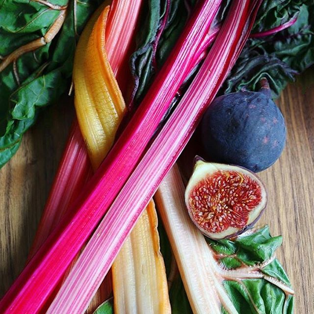 gorgeous veggies by lara delilah