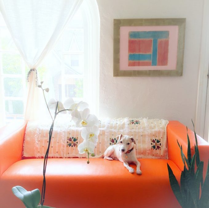 Feng Shui To Create Love That Grows & Grows!