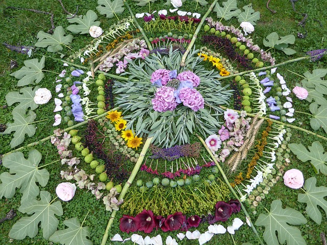 nature mandalas