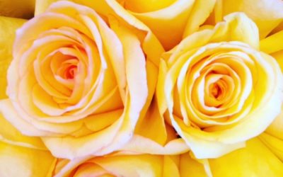 Next-Level Ways To Clear Negative Energy Blocks In Your Home & Life!