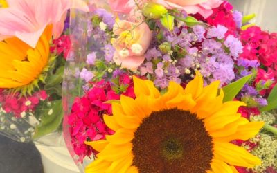 Creating The Happiness Habits That Build Unstoppable Momentum!