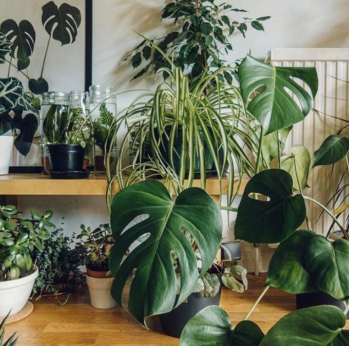 Feng Shui To Create Habits That Un-Stick Your Life & Expand Possibility!