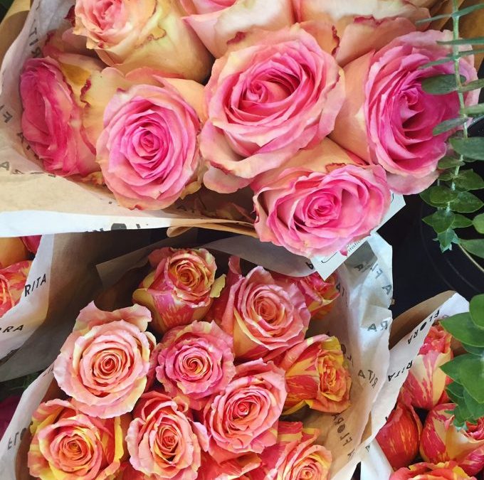 Roses Have Incredible Life-Balancing Powers!