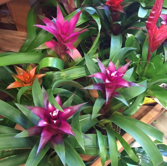 My Favorite Feng Shui Way To Make Huge Positive Changes!