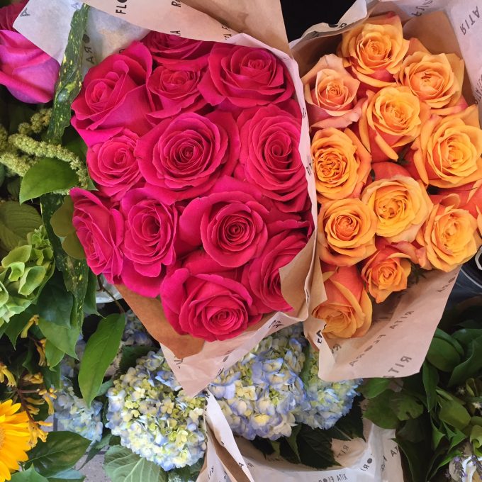 roses roses