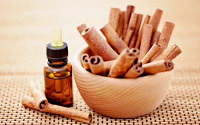 Use Cinnamon Wealth Energy To Raise Your Home Vibes Higher!