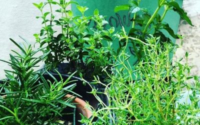 Fast Feng Shui For Making A Fresh Start In Any Area Of Life
