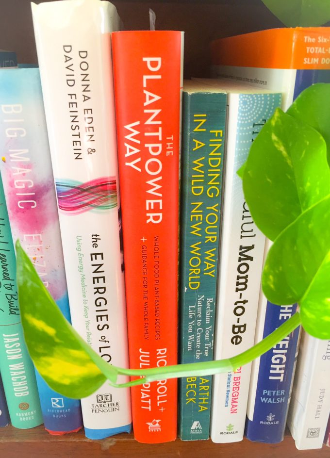 bookshelf of feng shui books bookshelf of wellness books