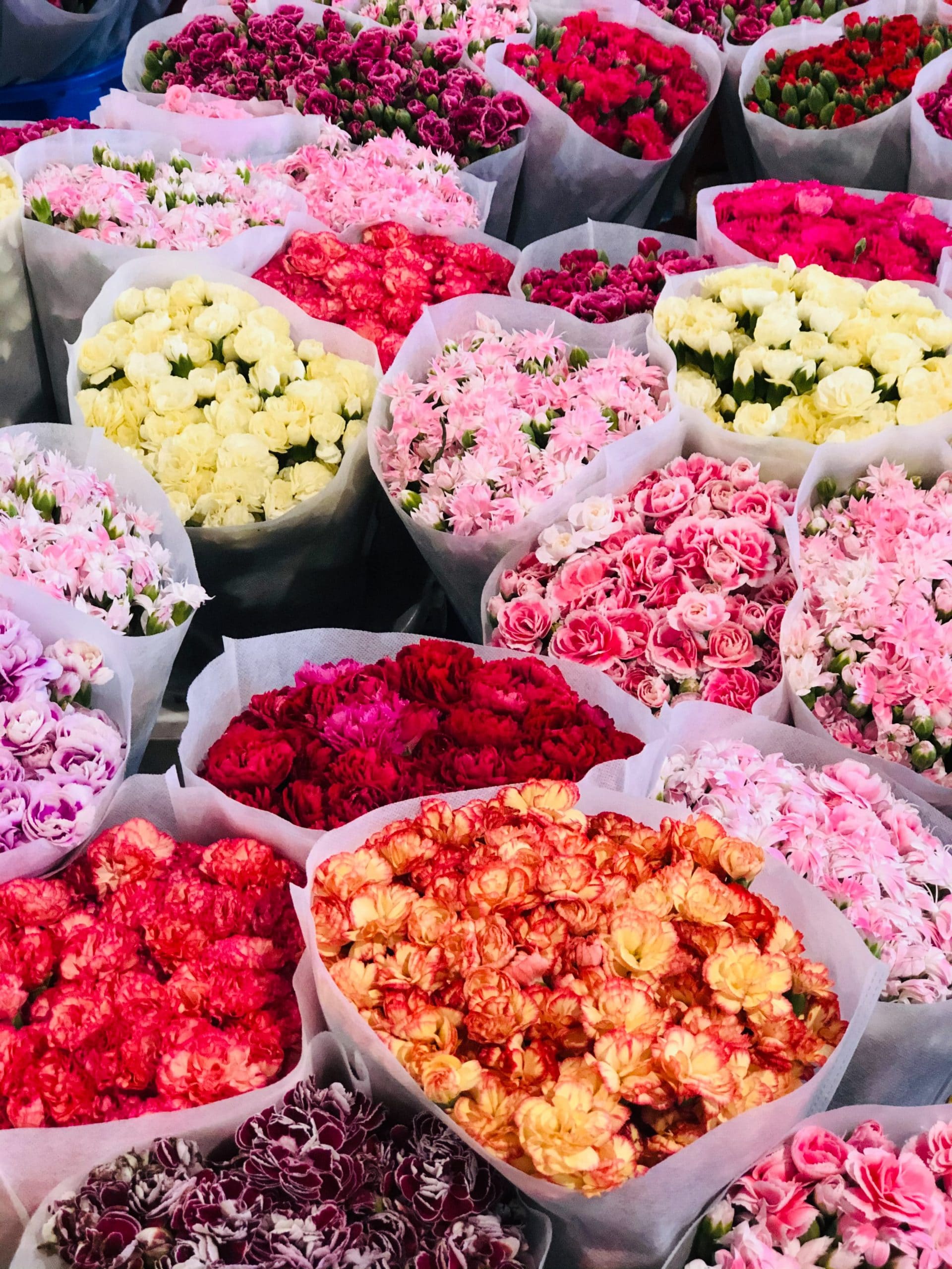 cindy-hwang-1cBSBJIsIhw-unsplash