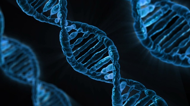 the science of talking to your cells from The Tao of Dana the science of talking to your cells from The Tao of Dana
