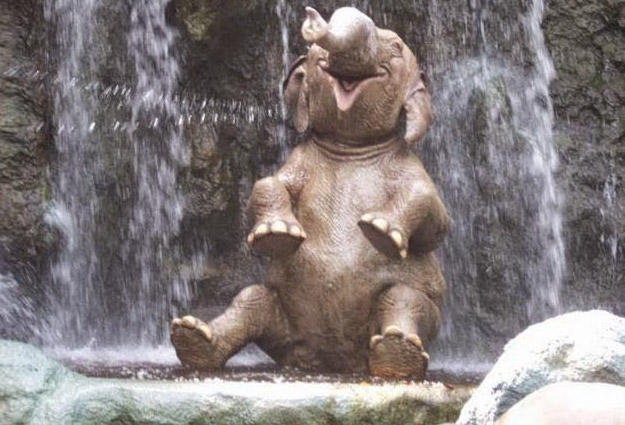 laughing elephant laughing elephant