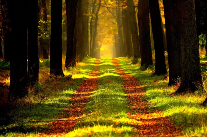 Science That Proves You Can Change Your Life With The Power Of Your Intention