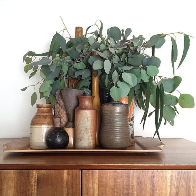 fresh eucalyptus as gorgeous decor