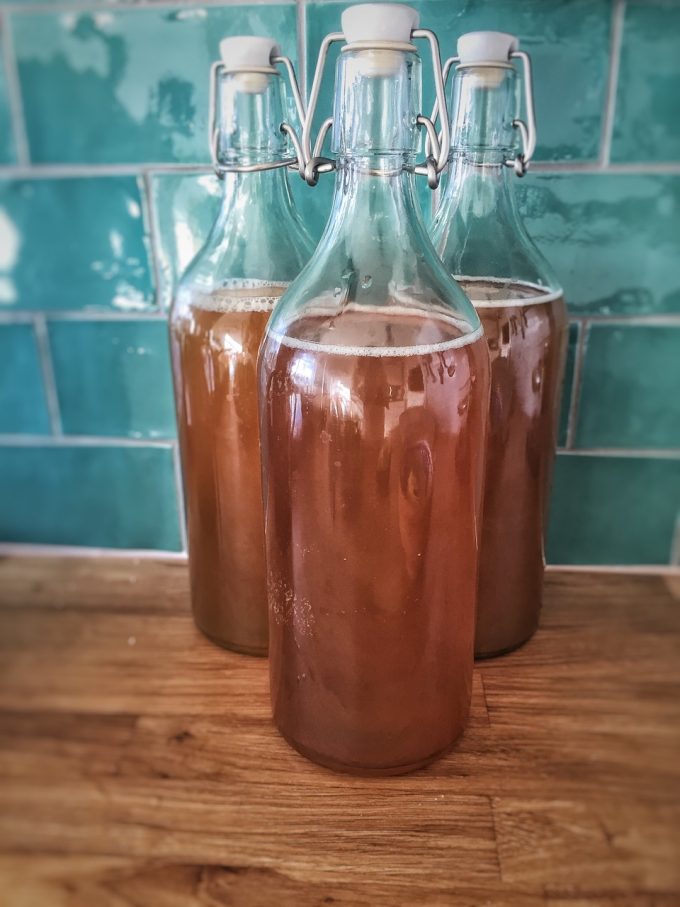 kombucha benefits