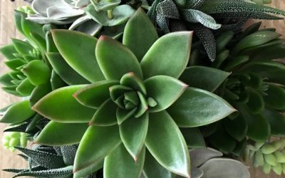 Clearing Space To Create More Magnetic Integrity In Your Life!