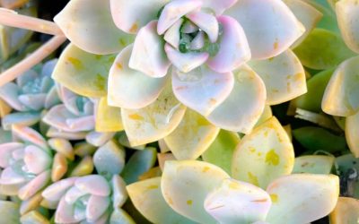 5 Signs Your Life Is Expanding (Even If It Doesn’t Seem Like It All The Time!)