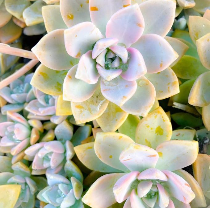 5 Signs Your Life Is Expanding (Even If It Doesn’t Seem Like It All The Time!)