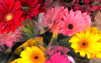 Feng Shui To Live Your Mission More Fully (& Feel The Magic It Brings!)