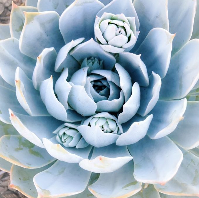 10 Ways To Know You’ve Outgrown Things & It’s Time To Expand!