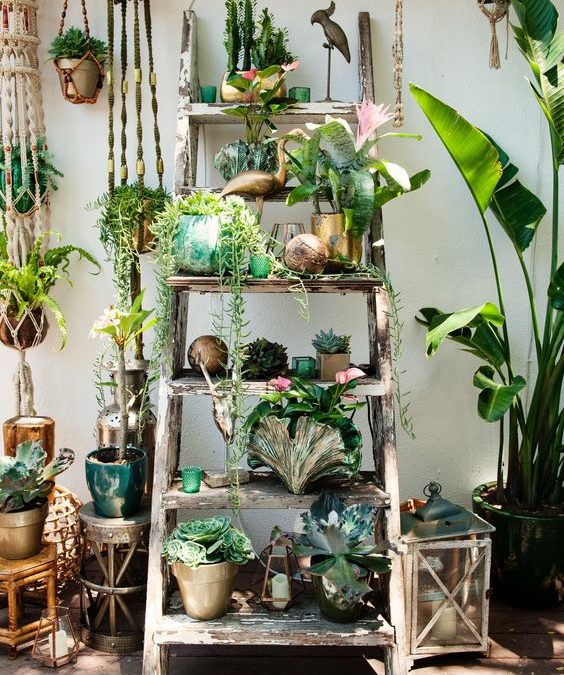 Stream Live Music Made By Plants!