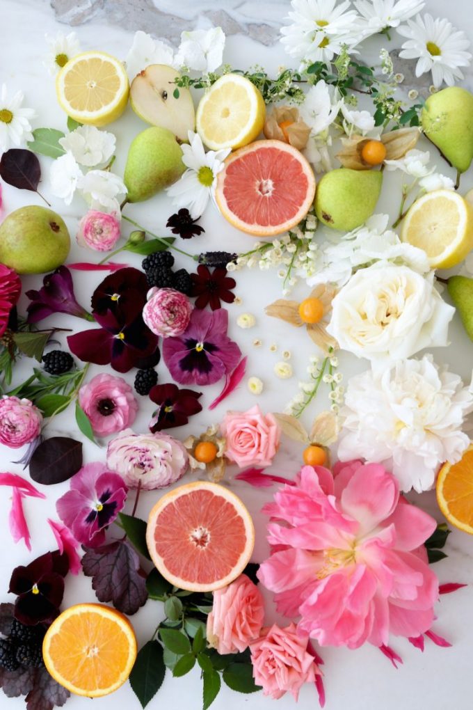 monica hibbs flowers and fruit