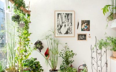Five Easy Ways To Take Your Home Design & Energy To The Next Level