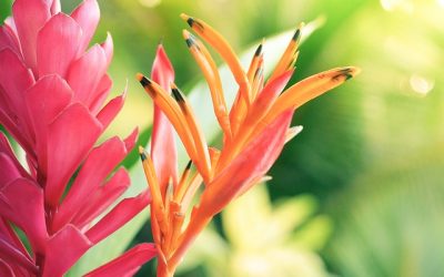 Could This Be Why Your Feng Shui (Or Any Other Big Change) Isn’t Working Out?