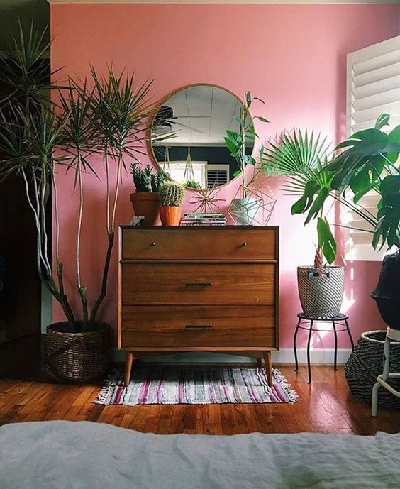 fresh starts with color