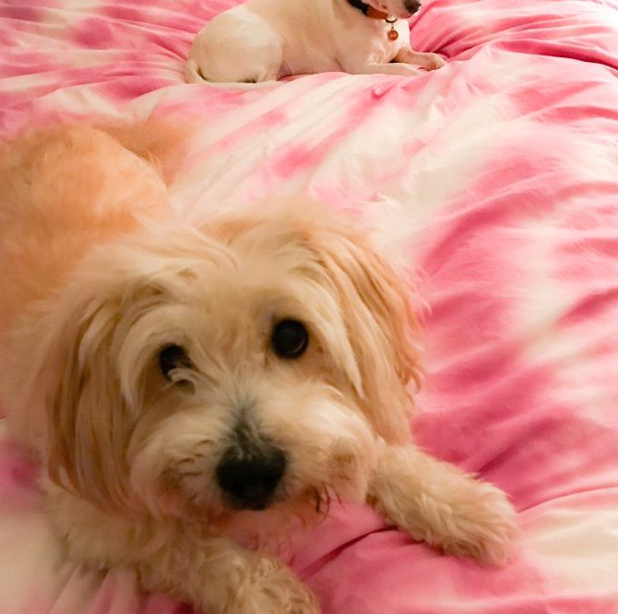 More Love For Your Home Means More Love For Your Life